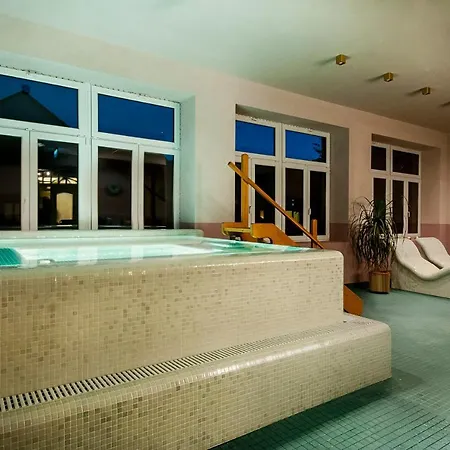 Neptun Badacsony فندق *