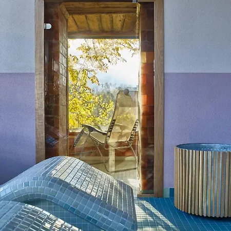 Hotel Neptun Badacsony Badacsonytomaj