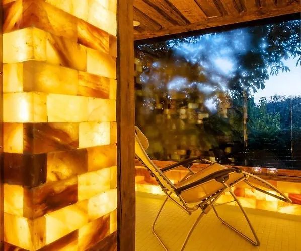 Hotel Neptun Badacsony *