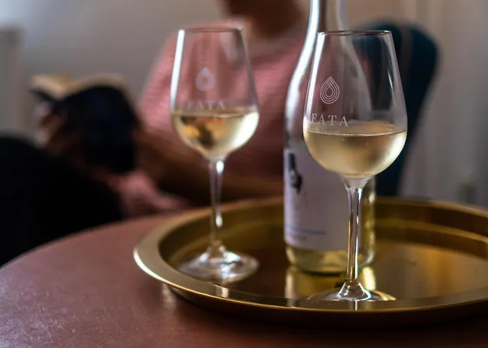 Neptun Badacsony Hotel